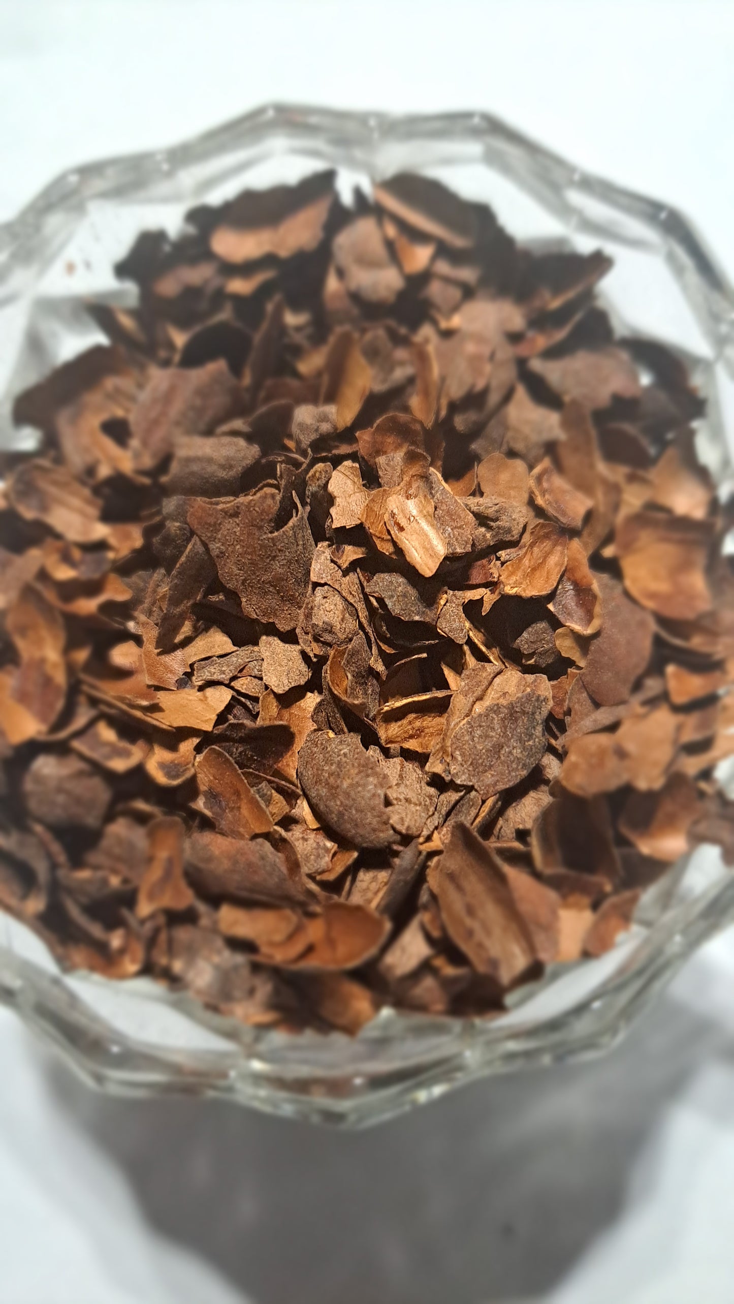 Cacao Bliss / Chocolate Tea